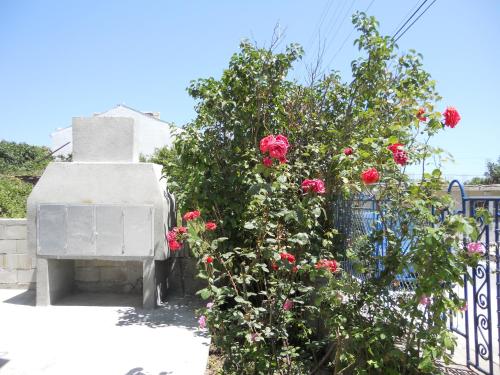 Guest House "Tania" in Akhtopol Guest House "Tania" in Akhtopol