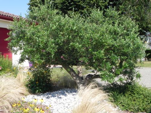Garden, La cle de vos Reves in Orthevielle Garden, La cle de vos Reves in Orthevielle
