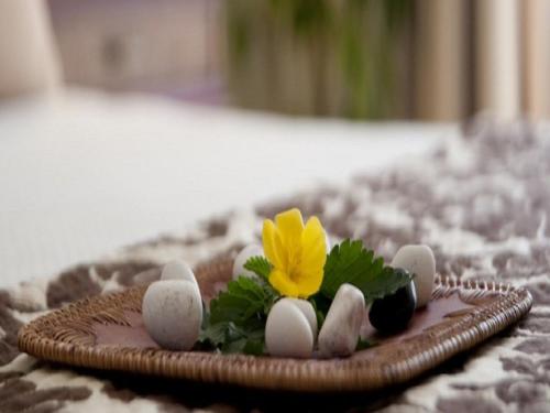 Cofresi Palm Beach & Spa Resort - All Inclusive in Puerto Plata Cofresi Palm Beach & Spa Resort - All Inclusive in Puerto Plata