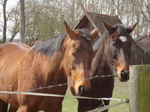 Ziegelei-Lubars in Klietz Ziegelei-Lubars in Klietz