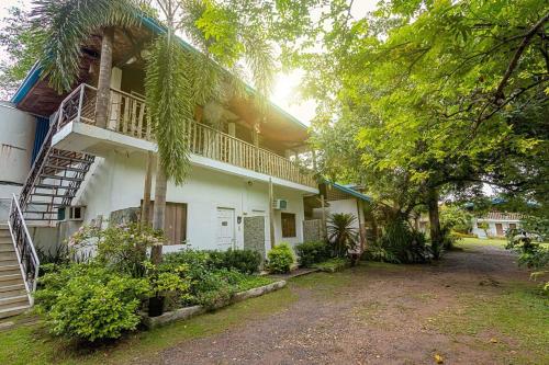 Surrounding environment, La Vida Hostel in Babak District - Samal Island Surrounding environment, La Vida Hostel in Babak District - Samal Island
