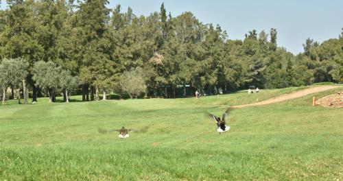 This photo about The Residences La Sella shared on HyHotel.com