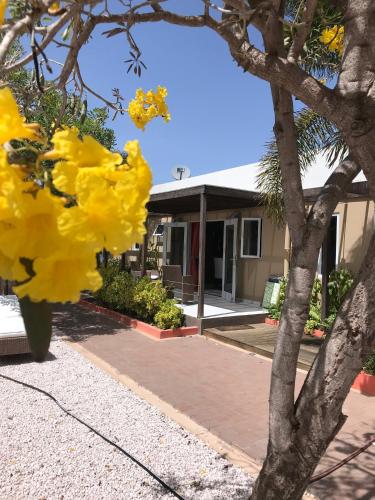 Фасада на хотела, Malika Apartments in Westpunt Фасада на хотела, Malika Apartments in Westpunt