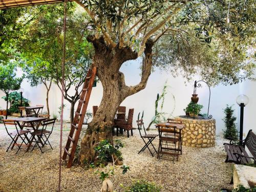 B&B Aurora 
B&B Aurora