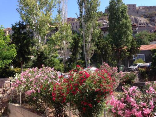 Garden, Hermes Hotel in Lesvos Garden, Hermes Hotel in Lesvos