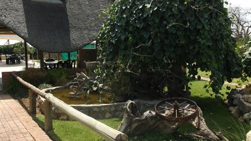 Taman, Pondoki Rest Camp in Grootfontein Taman, Pondoki Rest Camp in Grootfontein