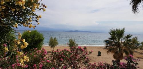 Perfect BeachFront Apartment
