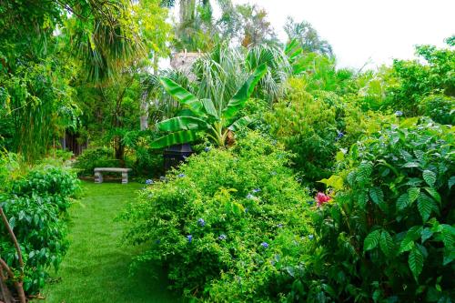 Garden, Riverside Apartments By The Beach in Pompano Beach Garden, Riverside Apartments By The Beach in Pompano Beach