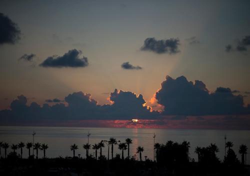 شاطئ, فندق يوفوريا باتومي-نيو (Euphoria Hotel Batumi-NEW) in باتومي شاطئ, فندق يوفوريا باتومي-نيو (Euphoria Hotel Batumi-NEW) in باتومي