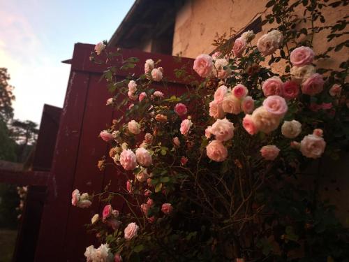 This photo about Chateau de la Touche shared on HyHotel.com