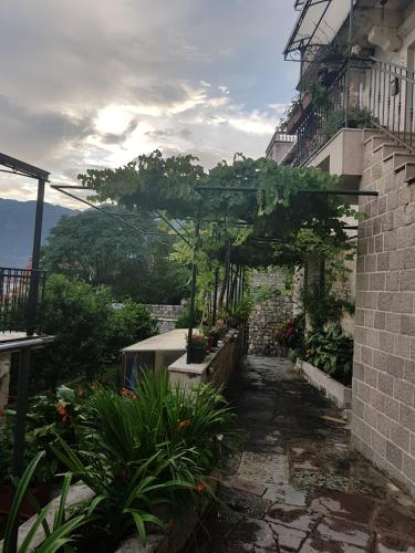 Dotări, Gudelj Apartments in Perast Dotări, Gudelj Apartments in Perast