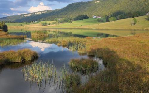 This photo about Hotel Les Bruyeres - shared on HyHotel.com