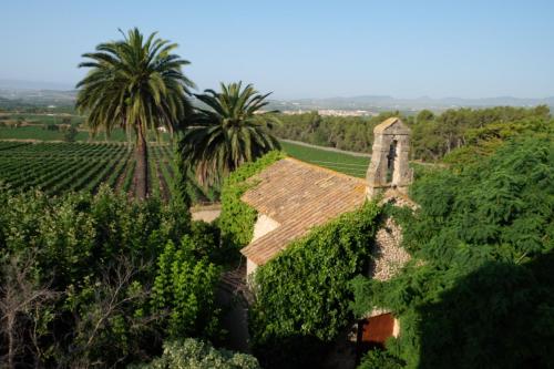 Mas Palou in El Pla del Penedes Mas Palou in El Pla del Penedes
