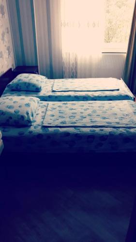 Hotel family hotel in Chiat'ura City Hotel family hotel in Chiat'ura City