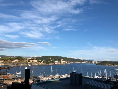 Super Cozy apartment in heart of Oslo in Bjerke Super Cozy apartment in heart of Oslo in Bjerke