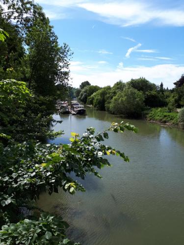 Les Seringats in Poissy Les Seringats in Poissy