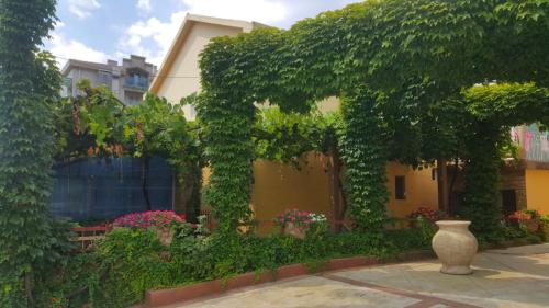 Garden Apartments, Budva Garden Apartments, Budva