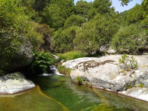 Közeli látványosságok, Casa Rural Las Gesillas in Poyales Del Hoyo Közeli látványosságok, Casa Rural Las Gesillas in Poyales Del Hoyo