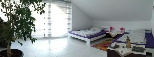 Ferienwohnung"VIP MUNICH ALBATROS DE LUXE" in Kirchheim Bei München Ferienwohnung"VIP MUNICH ALBATROS DE LUXE" in Kirchheim Bei München