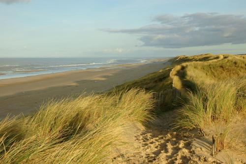 pláž, Hotel De Dennen in Egmond aan Zee pláž, Hotel De Dennen in Egmond aan Zee