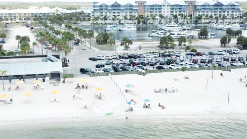 Beach, DOLPHINS, BEACH step away, WIFI, FREE PARKING,POOLS, JACUZZI in Ruskin (FL) Beach, DOLPHINS, BEACH step away, WIFI, FREE PARKING,POOLS, JACUZZI in Ruskin (FL)