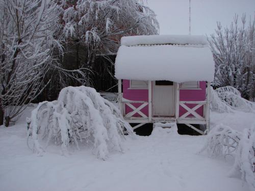 Hospedaje "San Andres" in 고베르나도르 그레고레스 Hospedaje "San Andres" in 고베르나도르 그레고레스