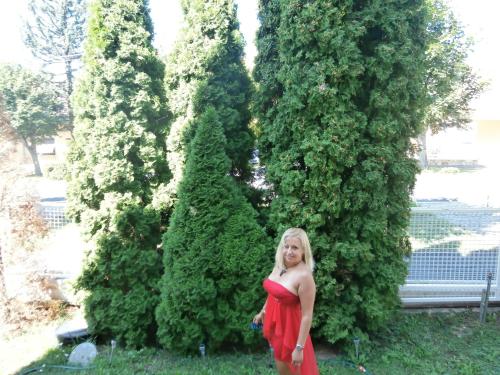 This photo about Hotel Terezia shared on HyHotel.com