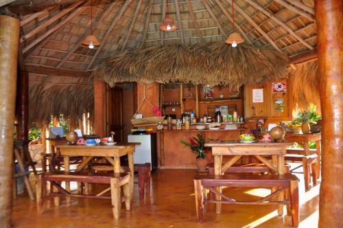 Food and beverages, Solazul in Las Galeras Food and beverages, Solazul in Las Galeras