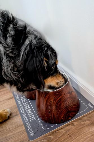 This photo about Landhaus Schulze shared on HyHotel.com