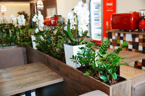 酒吧/高級酒吧, Coin Apartments & Poshtel in 切爾諾夫策 酒吧/高級酒吧, Coin Apartments & Poshtel in 切爾諾夫策