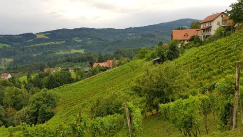 A környék, Gastehaus Klug in Sankt Stefan ob Stainz A környék, Gastehaus Klug in Sankt Stefan ob Stainz