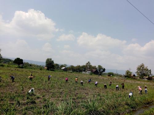 Pendopo Kayuwanan Syariah Near Terminal Giwangan in Banguntapan Pendopo Kayuwanan Syariah Near Terminal Giwangan in Banguntapan