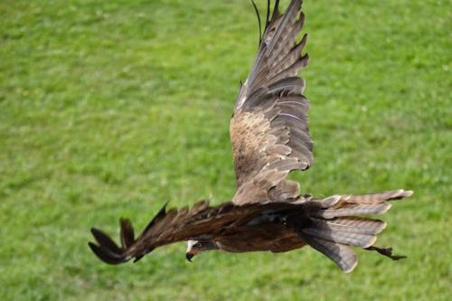 This photo about Hotel San Juan shared on HyHotel.com