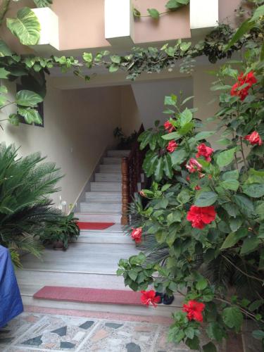 Exterior view, Nagarjun Apartment in Swayambhu Exterior view, Nagarjun Apartment in Swayambhu