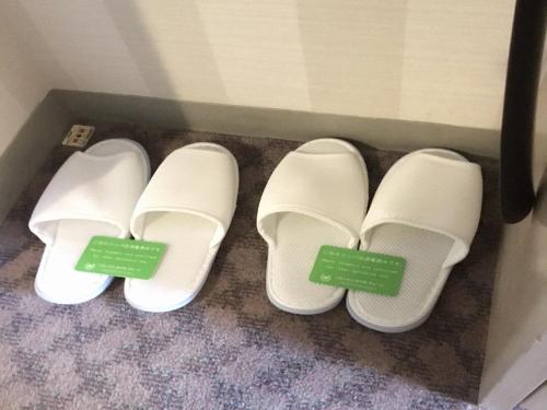 This photo about Hachinohe Washington Hotel shared on HyHotel.com