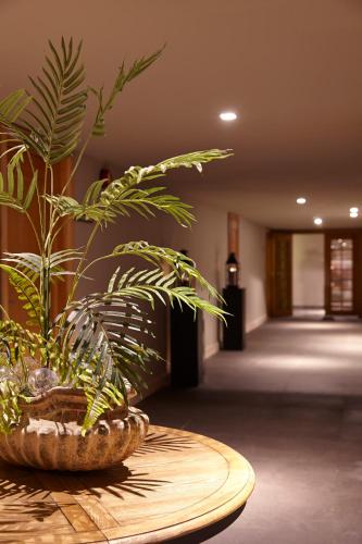 This photo about Les Suites at Cliff Bay PortoBay shared on HyHotel.com