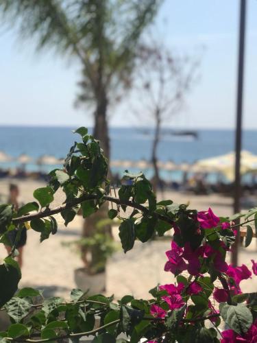 This photo about Royal Blue Hotel shared on HyHotel.com