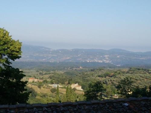 This photo about Casa Cares shared on HyHotel.com