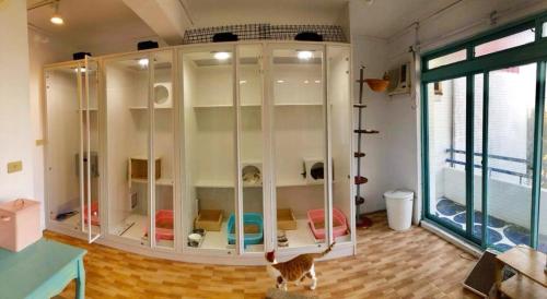 Meo-Woo Cat Travel b&b in Okraj Shanzhi Meo-Woo Cat Travel b&b in Okraj Shanzhi