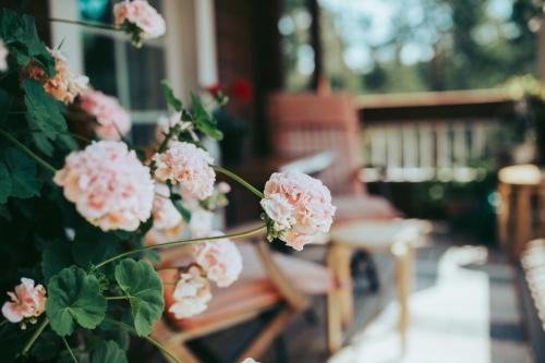 Balcony/terrace, B&B Elamys Ammi in Naantali Balcony/terrace, B&B Elamys Ammi in Naantali