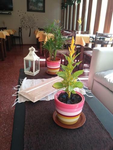 This photo about Hotel Resi San Bernardo shared on HyHotel.com