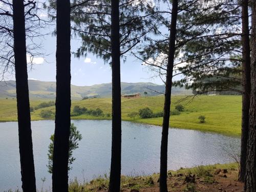 Luiperdkloof Trout Lodge in Paulpietersberg Luiperdkloof Trout Lodge in Paulpietersberg