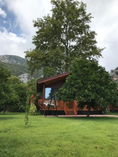 This photo about Asya Bungalow shared on HyHotel.com