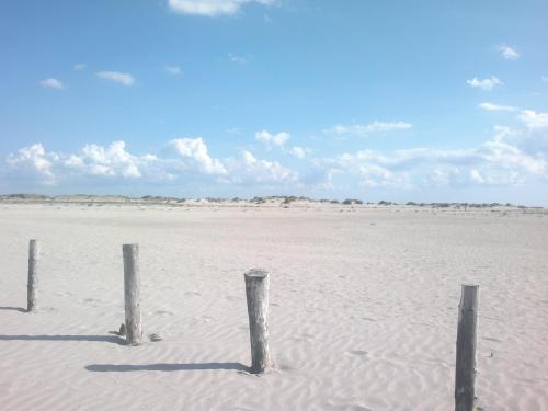 Surrounding environment, Sylt in Leck Surrounding environment, Sylt in Leck