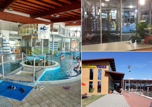 Lähistön nähtävyydet, Eden Apartman in Algyő Lähistön nähtävyydet, Eden Apartman in Algyő