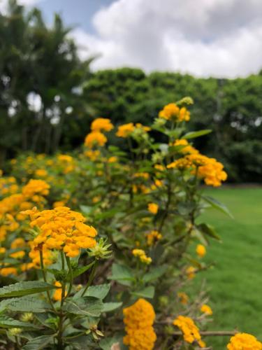 This photo about Pai Resorts shared on HyHotel.com