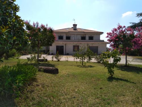 Casa Vacanze Le Rose in Ariccia Casa Vacanze Le Rose in Ariccia