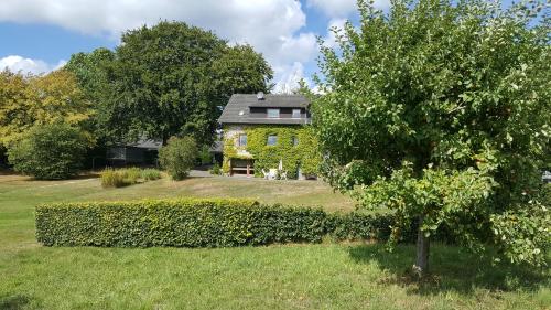 Ulaz, Ferienhaus Gisela in Hellenthal-Hahnenberg Ulaz, Ferienhaus Gisela in Hellenthal-Hahnenberg