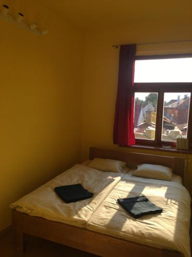 CB ROOMS/BED&SOUP in Ceske Budejovice 1 CB ROOMS/BED&SOUP in Ceske Budejovice 1