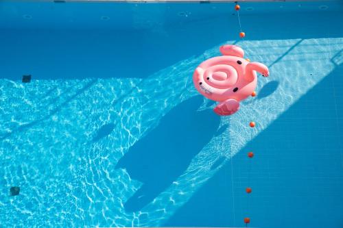 This photo about Hotel Flamingo shared on HyHotel.com